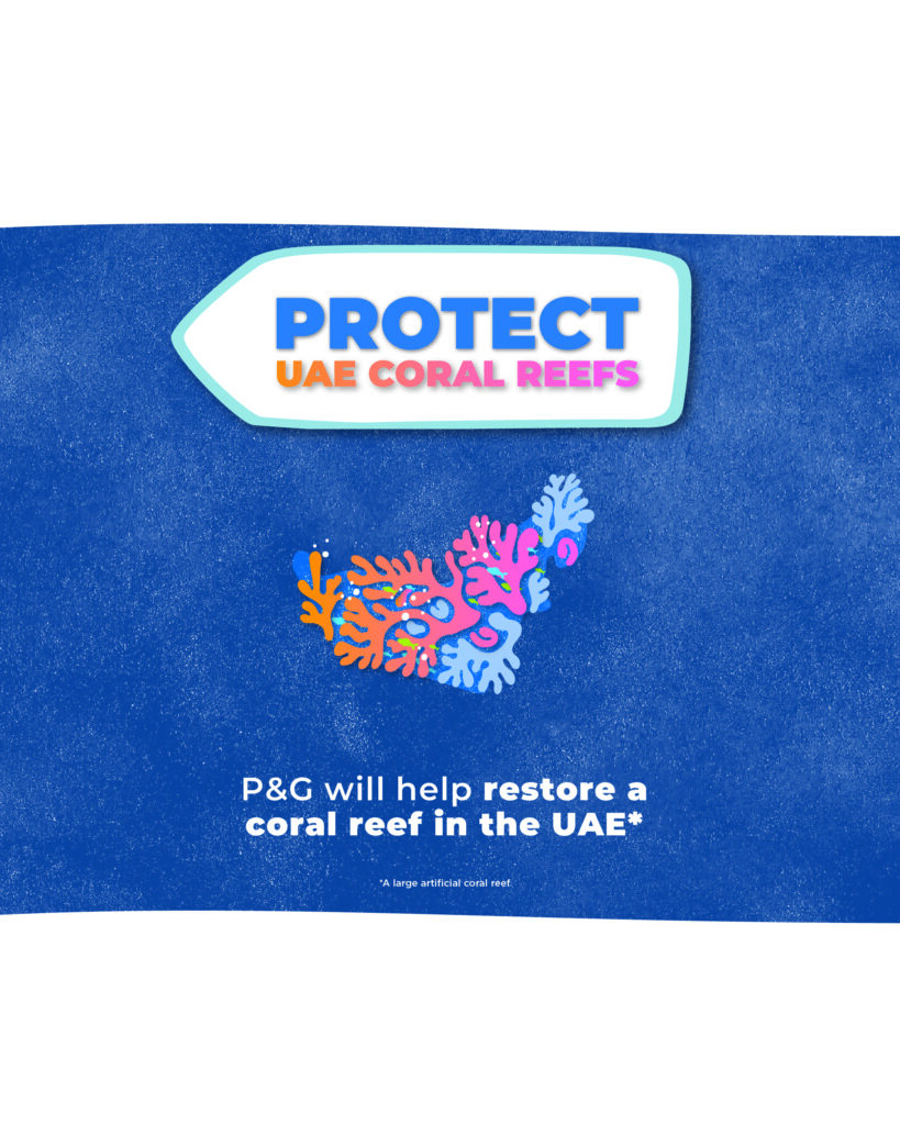 UAE Coral Reef Restoration