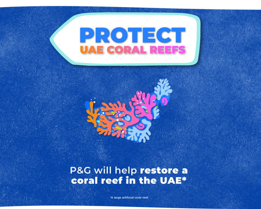 UAE Coral Reef Restoration